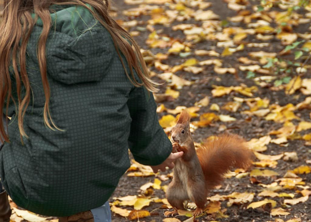 Girl and Squirrel