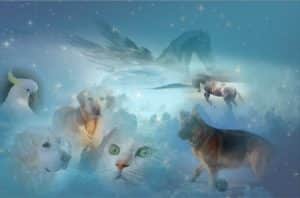 A fantasy sky scene with clouds, dogs and a cat
