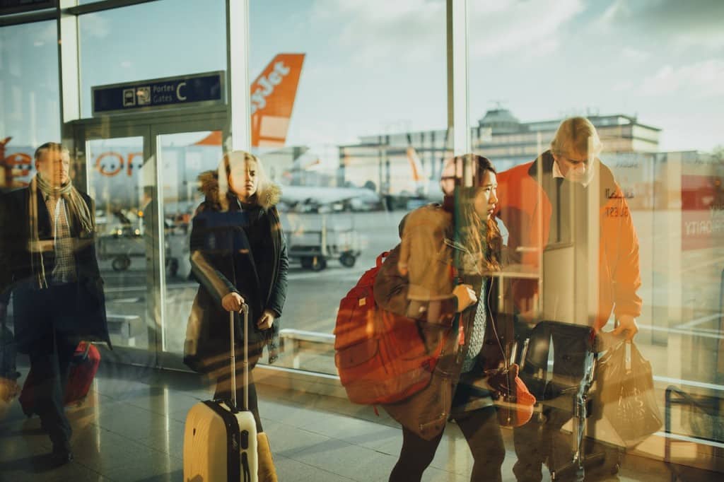 Airport_Passengers in a Hurry_Pets as comfort