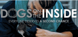 Dogs on the Inside_pets for prisoners