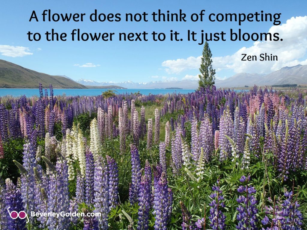 Flowers in bloom, not competing, living in harmony like humanity should